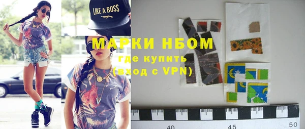 хмурый Алексин