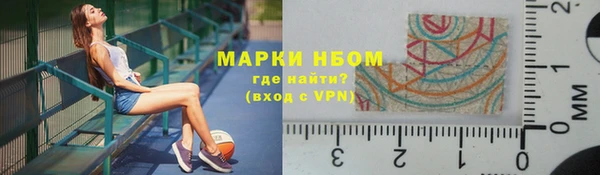 хмурый Алексин