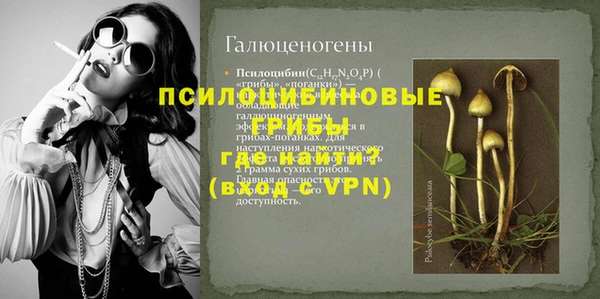 хмурый Алексин