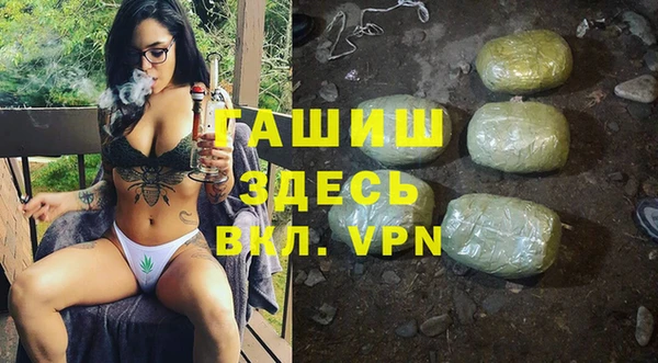 хмурый Алексин