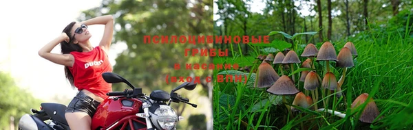 кокаин перу Алексеевка