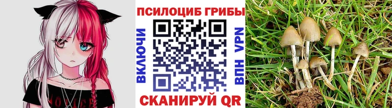 Галлюциногенные грибы мухоморы  площадка наркотические препараты  Жуков  купить наркоту  кракен онион 