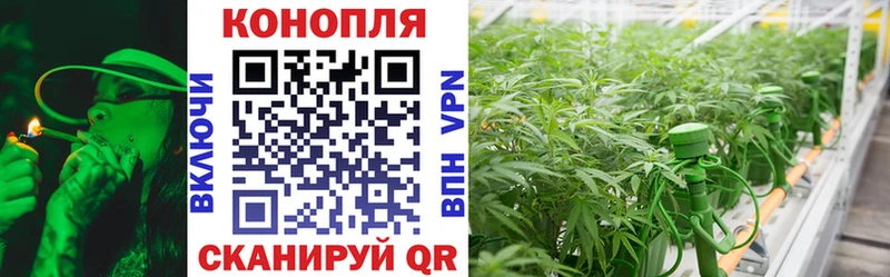 Каннабис ГИДРОПОН  Жуков 